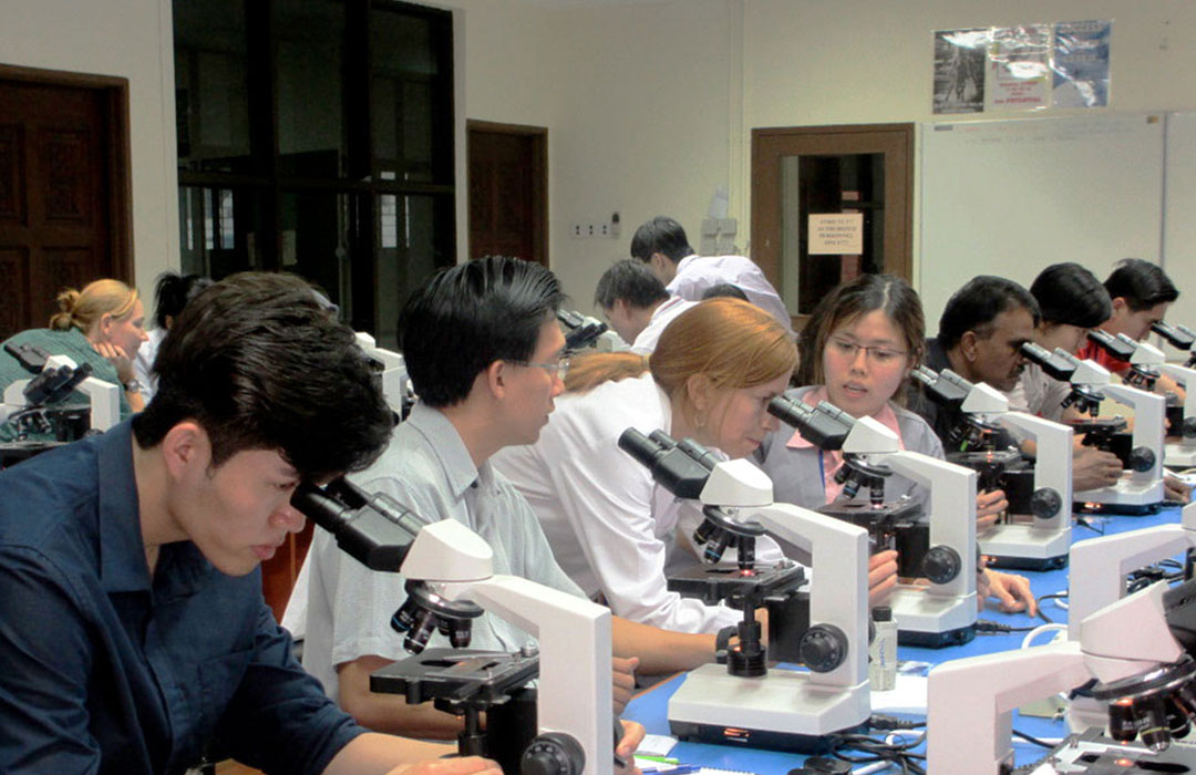 Veterinarian in New York and Westchester Vets Near Me Hudson Valley